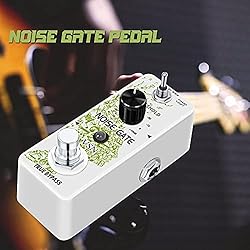 VSN Noise Killer Pedal Noise Gate Suppressor Effect