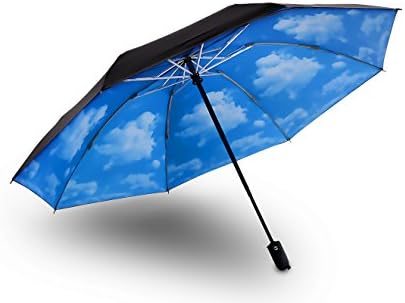 Rainpal Automatic Open Close Rain Umbrella | Windproof Canopy, Ergonomic Handle &amp; Explosion Proof | Protect From Rain, Wind, Sun &amp; UV Rays | Modern Colors &amp; Pattern | In A Carrying Bag (Sky)