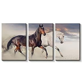 3 Panel Canvas Wall Art Beautiful Horse Art Canvas Prints Painting Wall Decor for Living Room Wooden Framed Home Decorations - 16"x24" x 3 Panels