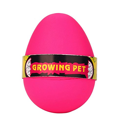 Inverlee Magic Novelty Hatching Dinosaur Egg Add Water Growing Dino Eggs Inflatable Kids Magic Fun Toy (D) - Thumbnail 5