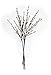 The Light Garden 184137 96 Light Willow Branch with Warm White LED's, 40 Inch