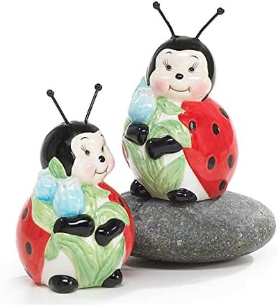 Amazon Com Adorable Ladybug Salt And Pepper Shakers For Kitchen