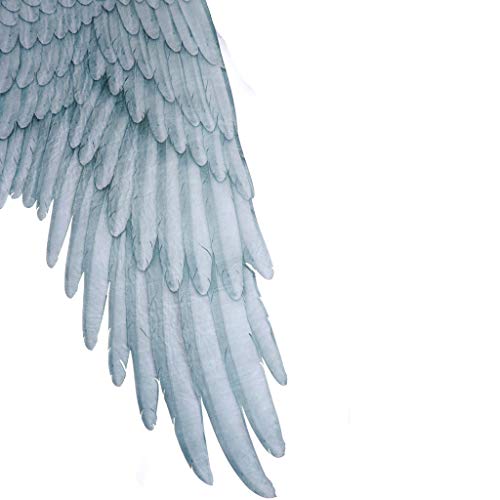 Beyonds Halloween Cosplay 3D Angel & Fallen Angel Wings Halloween Theme Party Cosplay Costume Accessories for Adults Men Women Children (Blue White)