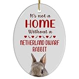 Blue Tan Netherland Dwarf Rabbit Christmas Ornament