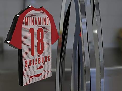 Banderines de fútbol austriacos - Imanes para nevera ...