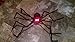 AISENO Giant Spider 4.2FT/125cm with LED Eyes Spooky Sound Halloween Decorations Outdoor Foldable Spider