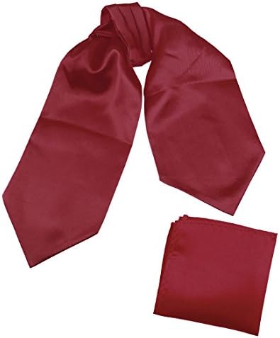 Dan Smith Solid Party Day Cravat Feel Silk Cravat Tie Ascot Assorted Pack Plain