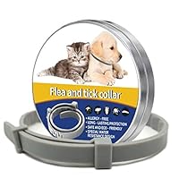 Jishy Adjustable Cat Dog Collar Waterproof Collars Outdoor Protective Pet Supply