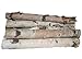 bd CRAFTS Northern White Birch logs. Set of 8 logs