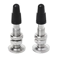 Lergo 2pcs Bicycle Presta Valve-Ultralight MTB Mountain Road Bike Tire Valve Zinc Alloy 31mm