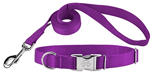 Country Brook Design | Premium Nylon Dog Collar and Leash - Purple - Medium