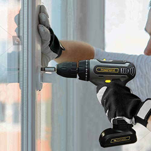 Werktough D011 18V Cordless Drill Driver 2 viable speed Powerful Screwdriver Lion Battery