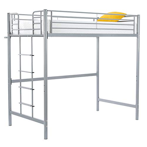 Bonnlo Twin Size Metal Loft Bed for Kids, Gray Pricepulse
