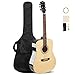 ARTALL 41 Inch Handmade Solid Wood Acoustic Dreadnought Guitar Beginner Kit with Gig Bag, Strings, Picks, Strap, Glossy Black