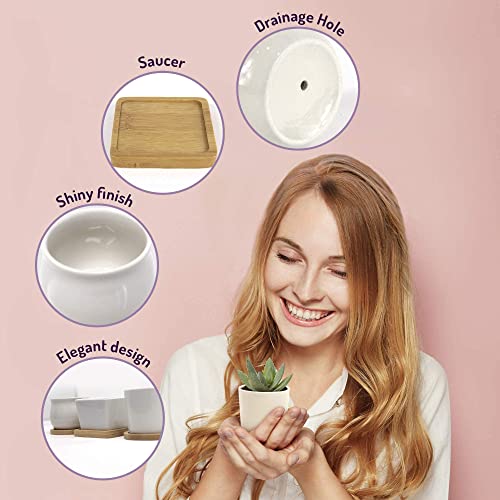 Small Ceramic Plant Pots with Drainage Holes and Saucers, Succulent