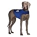 Mellow Shirt Dog Anxiety Calming Wrap, Medium