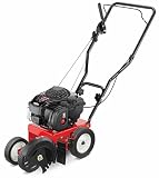 Troy-Bilt 140cc Briggs and Stratton OHV 550e series Engine Push Lawn Edger