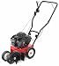Troy-Bilt 140cc Briggs and Stratton OHV 550e series Engine Push Lawn Edger