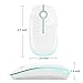 Jelly Comb 2.4G Slim Wireless Mouse with Nano Receiver, Less Noise, Portable Mobile Optical Mice for Notebook, PC, Laptop, Computer, MacBook MS001 (White and Green)