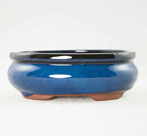 Oval Mame Shohin Bonsai / Cactus & Succulent Pot 6"x 5"x 2" - Dark Blue Glazed