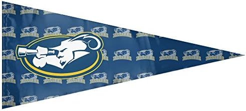 La Salle Explorers Logo 12" X 30" Pennant Garden Flag