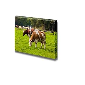 Canvas Prints Wall Art - Grazing Calves/Cows on Meadow | Modern Wall Decor/Home Art Stretched Gallery Canvas Wrap Giclee Print & Ready to Hang - 12" x 18"