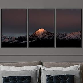 signwin 3 Piece Framed Canvas Wall Art Snow...