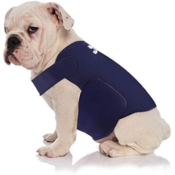 zen dog compression shirt