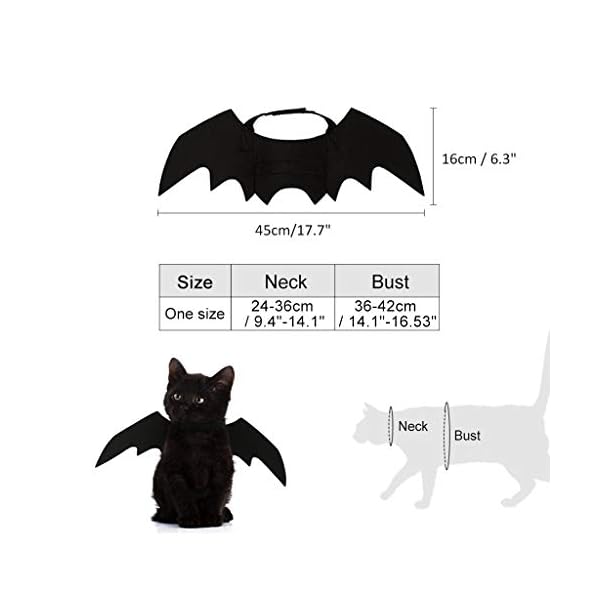 Decoracions De El Partit Platja Dora