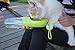 PETKIT Portable Dog Water Bottle For Walking, 400 milliliter Dog Water Dispenser with Bowl, Leak Proof Dog Travel Water Bottle with Filter, One Hand To Watering, Easy To Carry