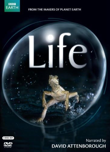 Amazon.com: The Life of Birds (Repackaged) [DVD] [UK Import