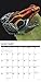 Frogs 2020 Wall Calendar