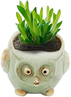 Mini Bird Succulent Planter, 3.3 Inch Cute Animal Planters Home Decoration Flower Pots--1 Free Tray in Package