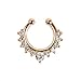 Septum Fake Nose Ring Jewelry,Women Girls Septum Ring Faux Nose Rings Non-Piercing Jewelry Clip On Clicker (6 PCS)
