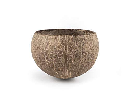 andwe Squirrels Feeder Coconut Feeding Bowl for Birds Chipmunk Wildlife - Outdoor Backyard Decor Accessories