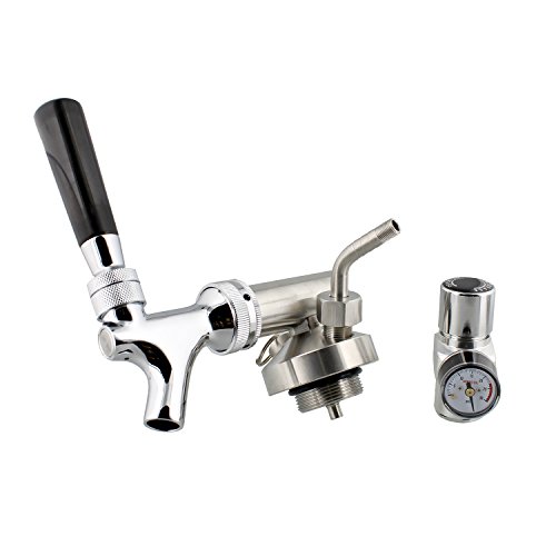 Mini Keg with Mini Keg Regulator and Beer Dispenser, 64 oz - Portable Keg Draft Beer Dispenser, Portable Beer Dispenser