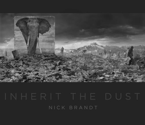 Amazon.com: A Shadow Falls: 9780810954151: Nick Brandt: Books