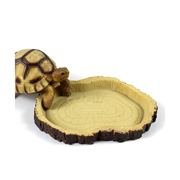 Alimentazione Rettile Resina Acqua Alimento Ciotola Piatto Pet Vivaio Tartaruga Geco Serpente