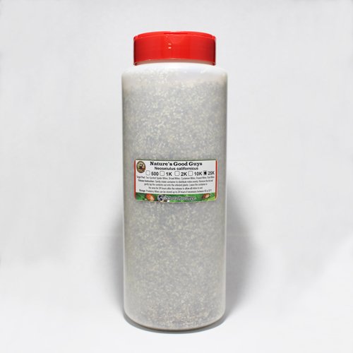 Nature's Good Guys 25,000 Live Adult Predatory Mites - N. Californicus a Predatory Mite Specie for Spider Mite Control - Ships Next Business Day!l Nature's Good Guys 25,000 Live Adult Predatory Mites - N. Californicus a Predatory Mite Specie for Spider Mite Control - Ships Next Business Day!l