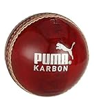 Puma Leather Cricket Ball