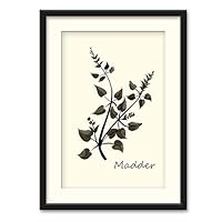 Herbs Theme Wall Art Black Framed Canvas Prints Home Decoration for Bedroom,Livingroom Ready to Hang - 23x31 inches