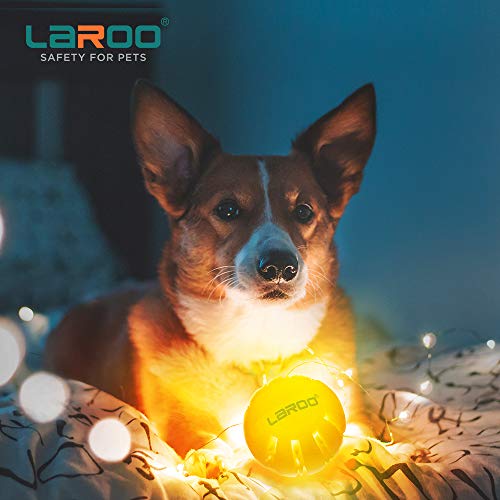 lighted dog balls