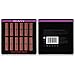 SHANY Lipstick Set of 12 Long-lasting and Moisturizing Creamy Colors with Various Finishes - Warm Wishes