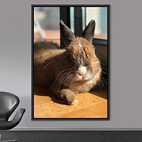 signwin Framed Canvas Wall Art Bunny Animals Bedroom...