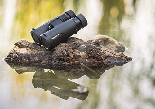 Olympus 8x42 PRO binoculars, bright, high contrast, robust, waterproof, fog-free, slim, simple design - ideal for travel, hiking, sports and nature observation even at close range – Bild 5