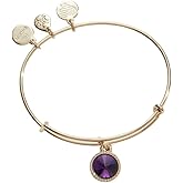 Alex and Ani Birthstones Expandable Bangle for Women, Birthday Crystal Charms, Shiny Finish, 2 to 3.5 in