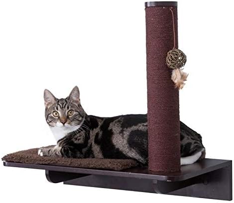 Cat Tree Wall Mount Playground Shelf Cat Scratcher Wall Mounted Kitty Hideaway Platform Shelves Platform Climber Espresso Brown Mdf Wood Jute Amazon Co Uk Kitchen Home