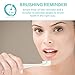 Ebelle Sonic Electric Toothbrush with Effective 31,000 Cleaning Vibrations per Minute. 2 Brush Heads, 4 Cleaning Modes, Built-in Timer, Runs up to 3 Weeks on Charge, 1 Hour Recharge, USB Cord