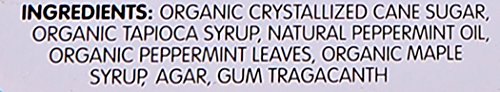 VERMINTS ALL NATURAL PEPPERMINT CANDY, 1.41 OZ
