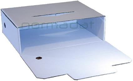 Caja de archivo definitivo folio prolongado: Amazon.es: Oficina y papelería